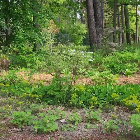 Maison Daubigny * Corne-Biche